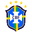 Brazil National Fan