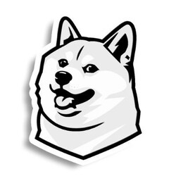 USD1DOGE
