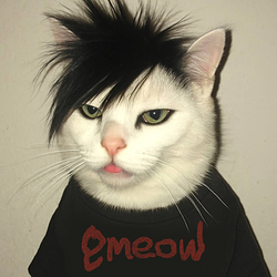 emeow
