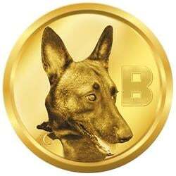 Belgian Malinois