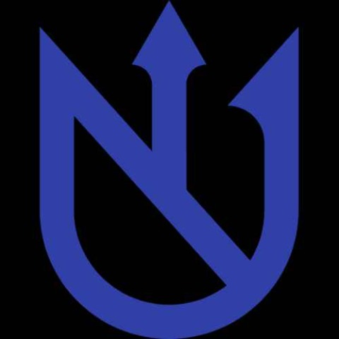 Логотип Neptune